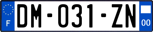 DM-031-ZN