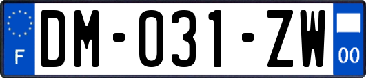 DM-031-ZW