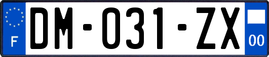 DM-031-ZX