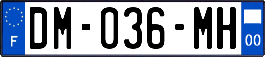 DM-036-MH