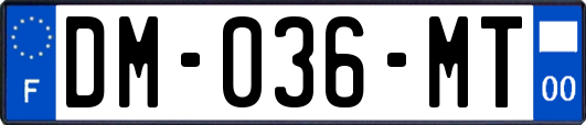 DM-036-MT