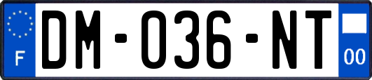 DM-036-NT