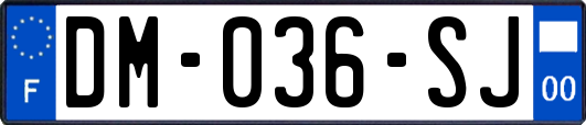 DM-036-SJ