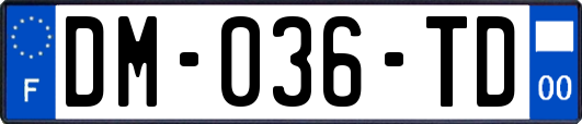 DM-036-TD