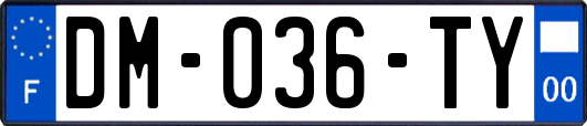 DM-036-TY