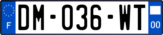 DM-036-WT