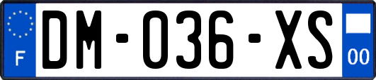 DM-036-XS