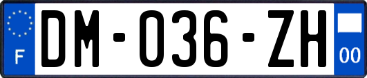 DM-036-ZH