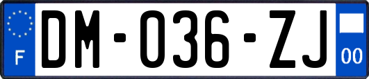 DM-036-ZJ