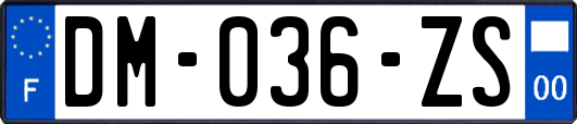 DM-036-ZS