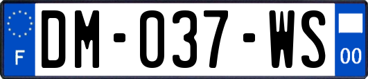 DM-037-WS