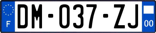 DM-037-ZJ