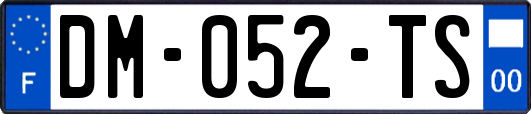 DM-052-TS