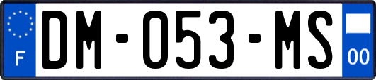DM-053-MS