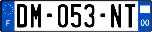 DM-053-NT