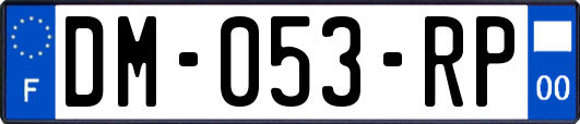 DM-053-RP