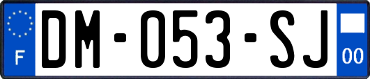 DM-053-SJ