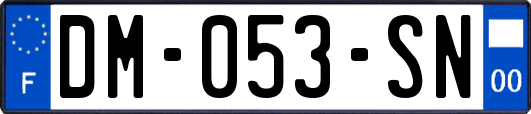 DM-053-SN