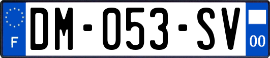 DM-053-SV