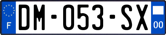 DM-053-SX