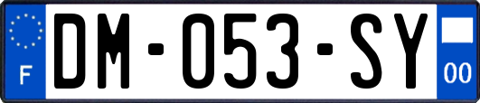 DM-053-SY
