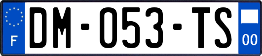 DM-053-TS