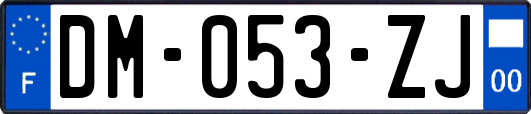 DM-053-ZJ