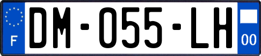 DM-055-LH