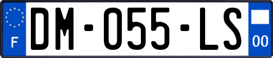 DM-055-LS