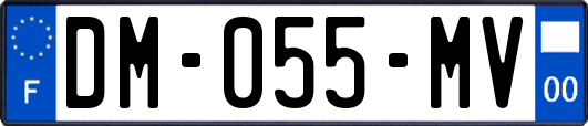 DM-055-MV