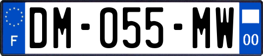 DM-055-MW