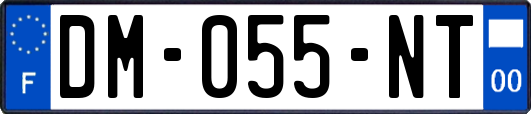 DM-055-NT