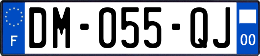 DM-055-QJ