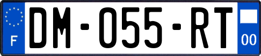 DM-055-RT