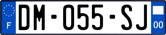 DM-055-SJ