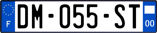 DM-055-ST