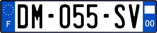 DM-055-SV