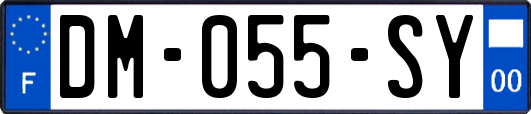 DM-055-SY