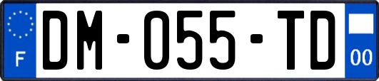 DM-055-TD