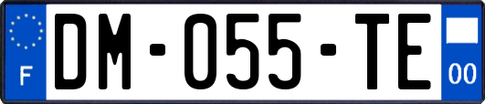 DM-055-TE
