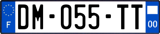 DM-055-TT
