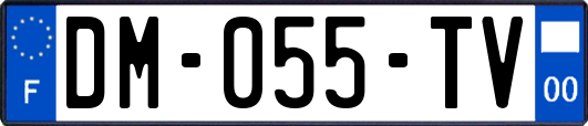 DM-055-TV