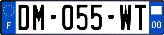 DM-055-WT