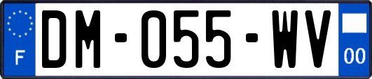 DM-055-WV