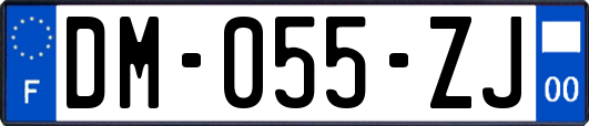 DM-055-ZJ