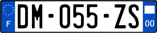 DM-055-ZS