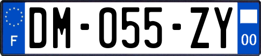 DM-055-ZY