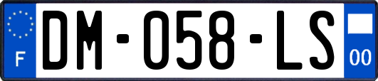 DM-058-LS