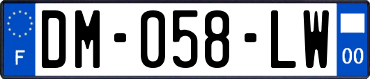 DM-058-LW