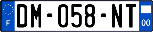 DM-058-NT